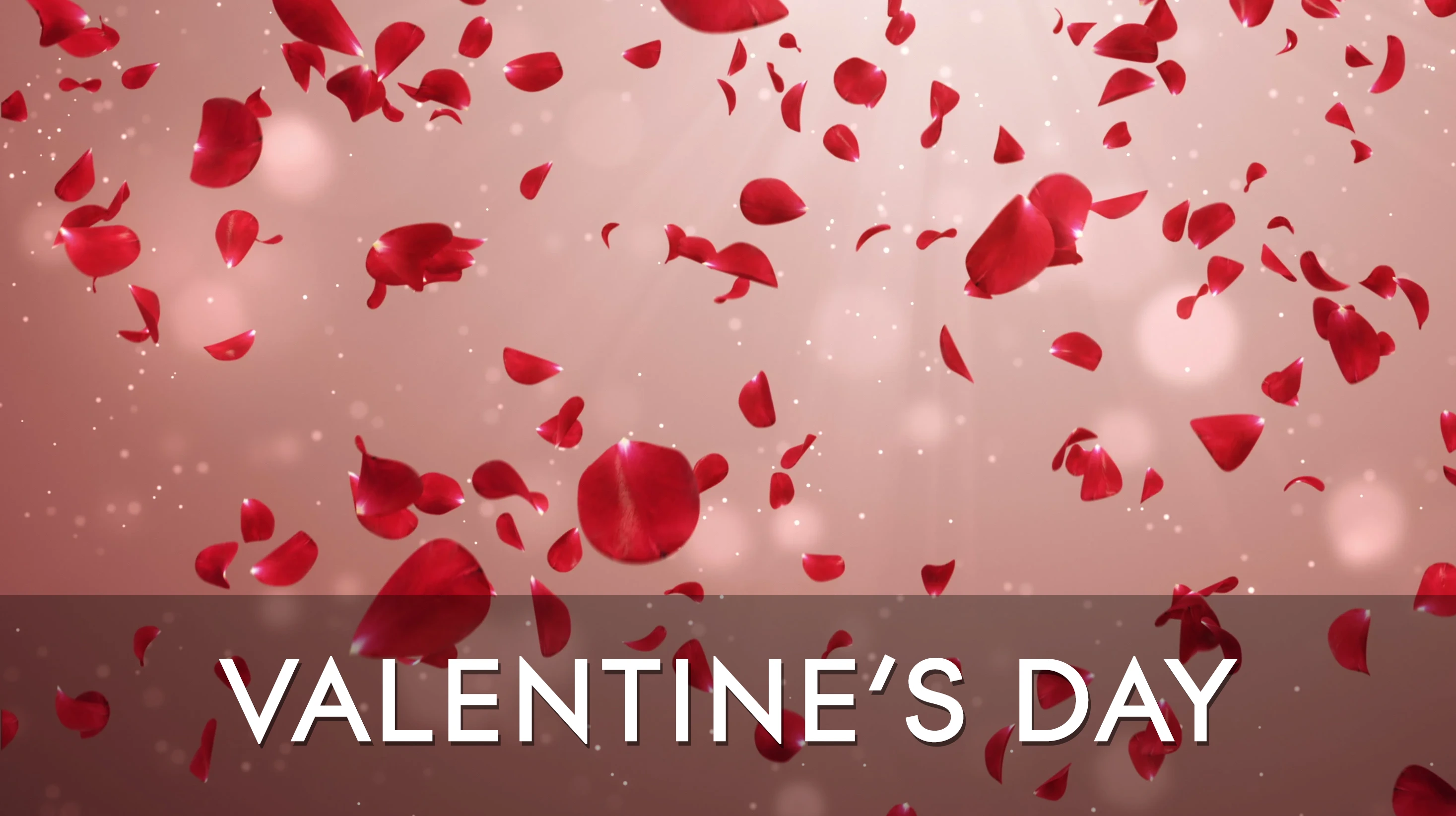 Staff Playlists - Valentines Day